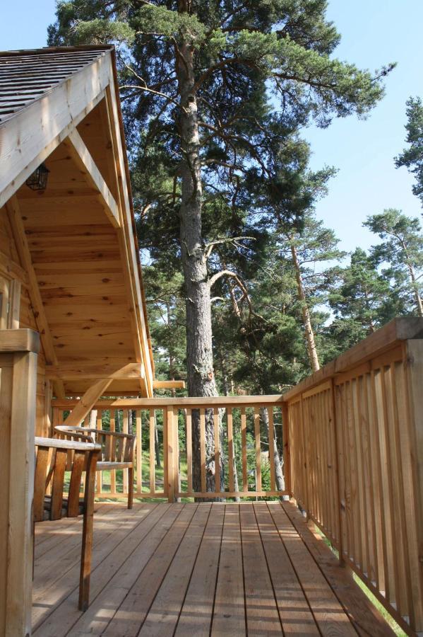 Cabane Lodge Domaine Du Lac Chambon Murol Dış mekan fotoğraf